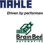 Mahle Brain Bee